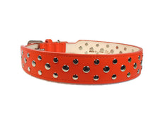 Cargar imagen en el visor de la galería, Bells Nickel Stud Cluster Wider Width Dog Collar - Around The Collar NY