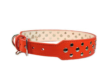 Cargar imagen en el visor de la galería, Bells Nickel Stud Cluster Wider Width Dog Collar - Around The Collar NY