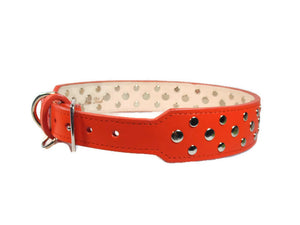 Bells Nickel Stud Cluster Wider Width Dog Collar - Around The Collar NY