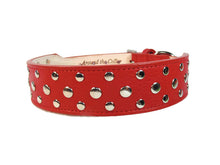 Cargar imagen en el visor de la galería, Bells Nickel Stud Cluster Wider Width Dog Collar - Around The Collar NY