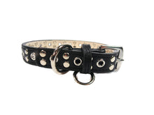 Load image into Gallery viewer, Jaxon Leather Collar with Nickel Eyelet &amp; Stud Cluster - Around The Collar NY