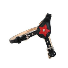 Load image into Gallery viewer, Breck Leather Star Step-In Harness with Swarovski Crystal - Around The Collar NY