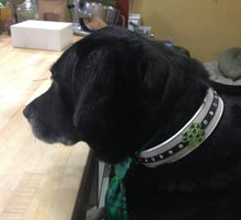 Load image into Gallery viewer, Shamrock Wider Leather Dog Collar Stripe Center