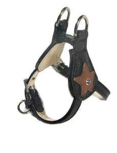 Breck Leather Star Step-In Harness with Swarovski Crystal - Around The Collar NY