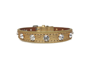 Shiney gold bling Brie leather dog collar