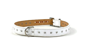 Brie Hanukkah Leather Dog Collar with Single Row Crystals