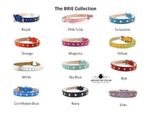 Load image into Gallery viewer, Brie leather dog collars with crystals. Bling single row by Around the Collar