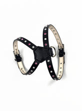 Load image into Gallery viewer, Brie Leather K Harness 2 Tone Swarovski Crystals on straps only - Around The Collar NY