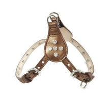 Load image into Gallery viewer, Brie Leather Step-In Harness with Bezel Set Crystals - Around The Collar NY
