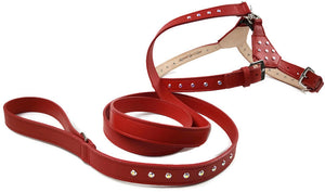 Brie Leather Step-In Dog Harness with Clear Crystals on Straps and Tabs Product vendor
