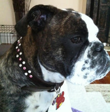 Load image into Gallery viewer, Stella Jewel 2 Tone Cluster Leather Dog Collar - Around The Collar NY