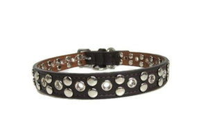 Jaxon Leather Collar with Nickel Eyelet & Stud Cluster - Around The Collar NY
