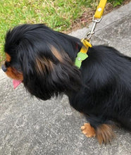 Load image into Gallery viewer, Butterfly blingy leather dog collar yellow mint clear crystals by Around the Collar