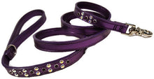 Cargar imagen en el visor de la galería, Callie Leather Leash with Swarovski Crystal Cluster - Around The Collar NY