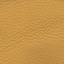 Load image into Gallery viewer, Leather Colors