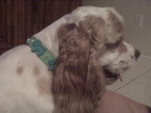 Load image into Gallery viewer, Malka Crystal Leather Dog Collar Product vendor