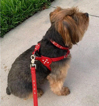 Load image into Gallery viewer, Stella Leather Step-In Dog Harness with 2 Tone Crystal Cluster on Straps &amp; Side Tabs