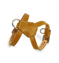 Load image into Gallery viewer, Classic Leather K Harness Product vendor