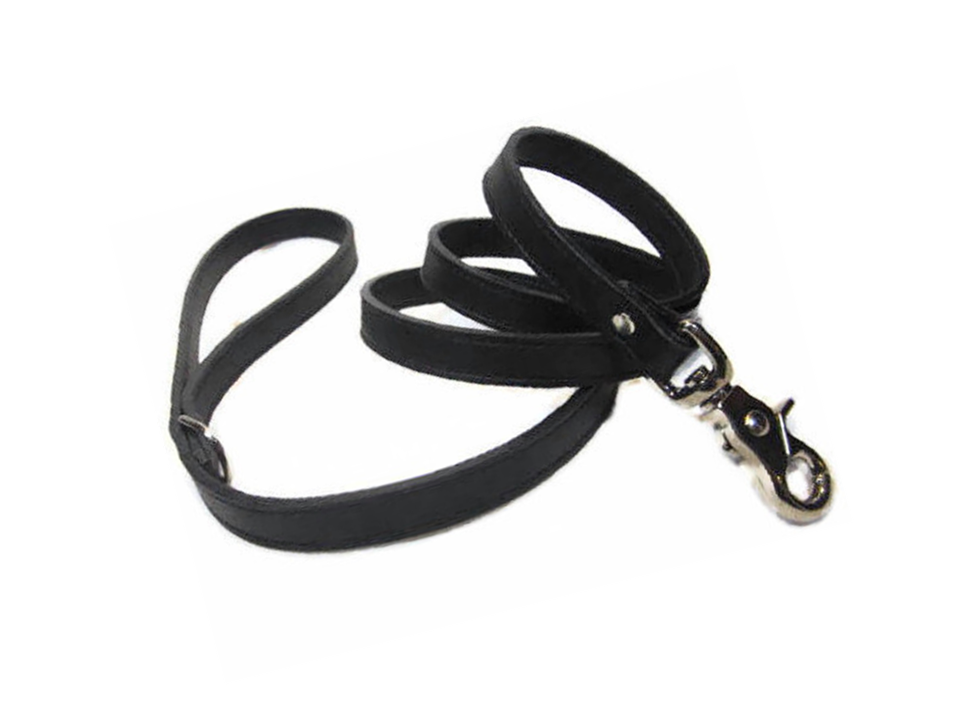 Classic Leather Dog Leash Product vendor