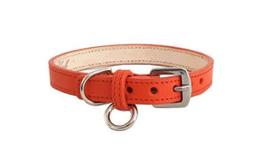 Classic Leather Dog Collar