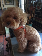 Load image into Gallery viewer, Triple Flower Leather Step-In Dog Harness Product vendor