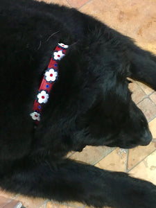 Penelope Flower Leather Dog Collar with Crystals on Flower & Collar Product vendor
