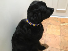 Load image into Gallery viewer, Penelope Flower Leather Dog Collar with Crystals on Flower &amp; Collar Product vendor