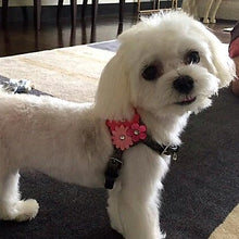 Load image into Gallery viewer, Triple Flower Leather Step-In Dog Harness Product vendor