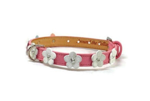 Ellie flower leather dog collar