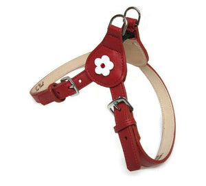 Ellie Flower Leather Dog Step-In Harness