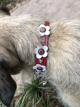 Load image into Gallery viewer, Riley Flower Leather Dog Collar with Austrian Crystals on Flower &amp; Collar