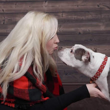 Load image into Gallery viewer, Stella Jewel Cluster Christmas Dog Collar Product vendor