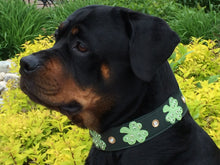 Load image into Gallery viewer, Shamrock Wide Leather Dog Collar