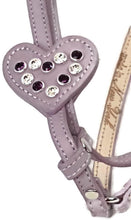 Load image into Gallery viewer, Heart All-In-One Harness with Crystals - Around The Collar NY