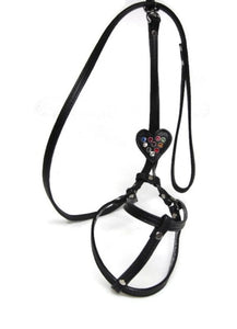 Heart All-In-One Harness with Crystals - Around The Collar NY