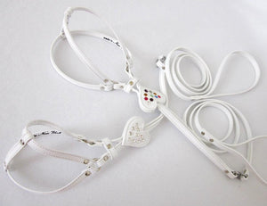 Heart All-In-One Harness with Crystals - Around The Collar NY