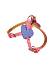 Load image into Gallery viewer, Heart Leather Step-In Dog Harness