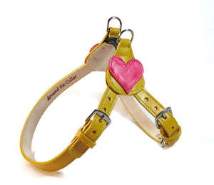 Heart step in leather dog harness
