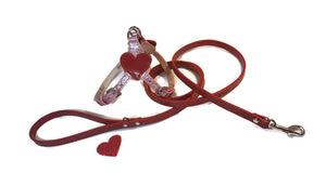 Heart leather step in dog harness and leash