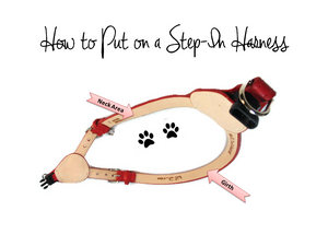 Leather Dog Step-In Harness How to Use- Around The Collar NY
