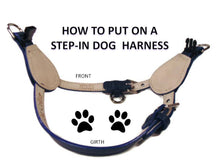 Cargar imagen en el visor de la galería, Breck Leather Star Step-In Harness with Swarovski Crystal - Around The Collar NY