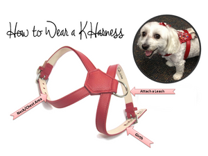 Classic Leather K Harness - Around The Collar NY