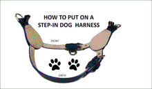 Load image into Gallery viewer, Brie Metallic Leather Step-In Dog Harness with Crystals on Straps &amp; Side Tabs Product vendor