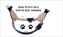 Load image into Gallery viewer, Leather dog stepin harness. Custom made in USA Around the Collar