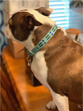 Load image into Gallery viewer, Huck Leather Dog Collar with Double Row Inserts &amp; Double Row Austrian Crystals Product vendor