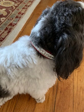 Load image into Gallery viewer, Ryan Leather Collar with Double Row Closely Spaced Square Swarovski Crystals - Around The Collar NY