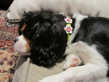 Load image into Gallery viewer, Riley Leather Flower Dog Collar Product vendor