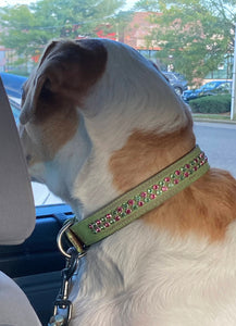 Ava Double Row Close Crystal Leather Dog Collar - Around The Collar NY