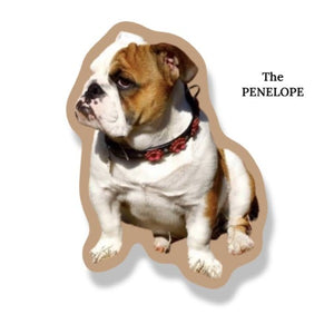 Penelope flower leather dog collar