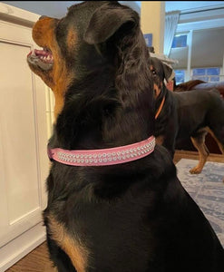 Ava Double Row Close Crystal Leather Dog Collar
